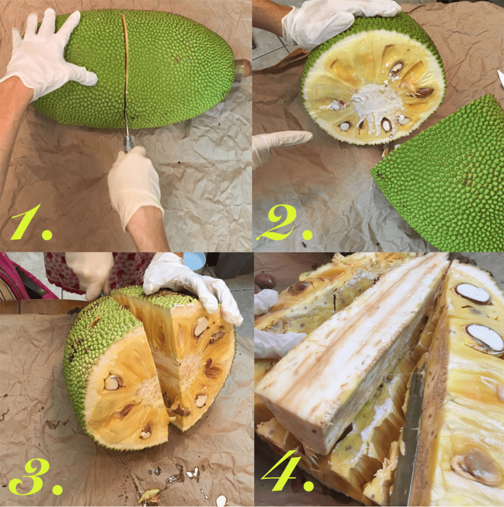Steps to opening a jackfruit. Vying for Veganism.